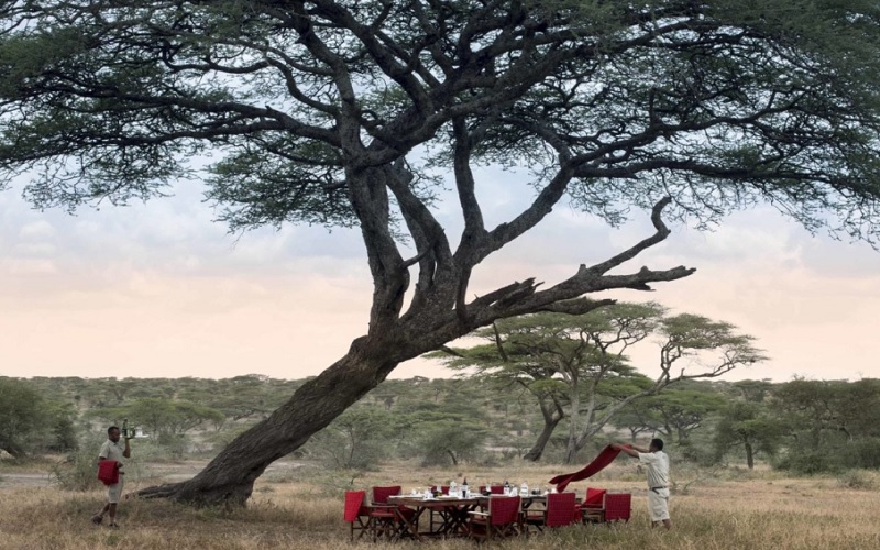 Stay 4 Nights and Pay 3 Nights Only at Serengeti Under Canvas Camp Tanzania
